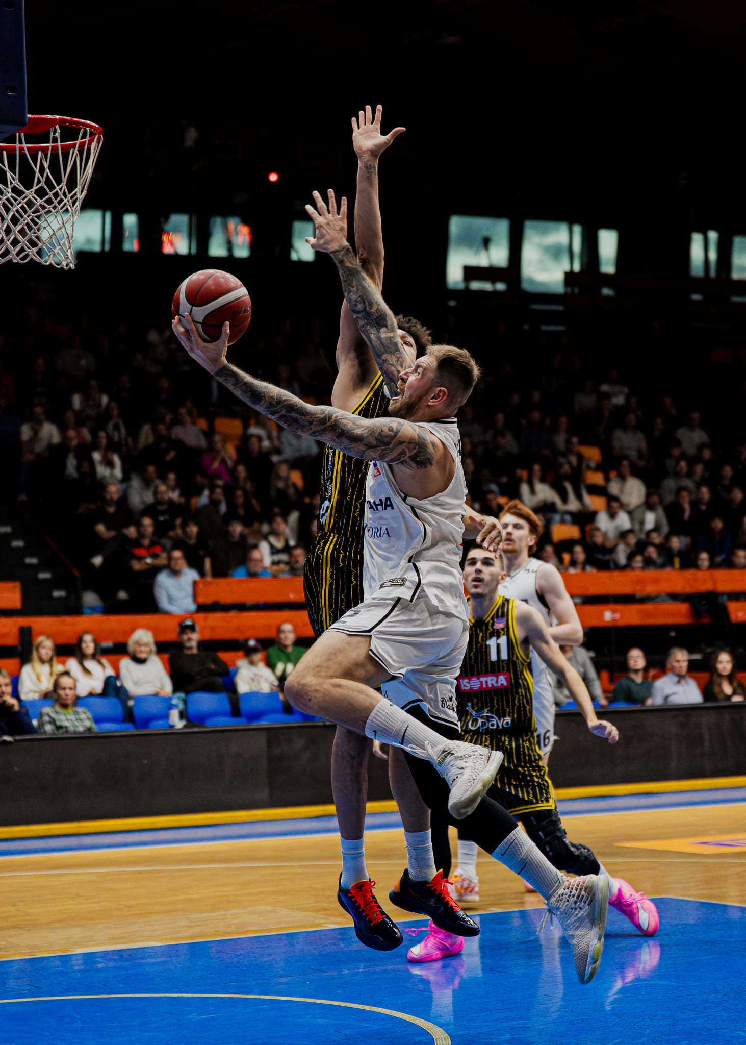 USK Praha vs BK Opava, photo 56